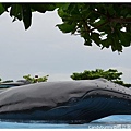 06.國立海洋生物博物館.jpg