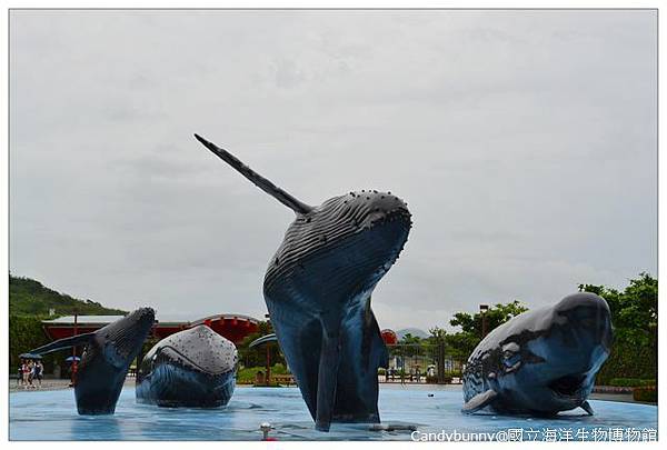 07.國立海洋生物博物館.jpg