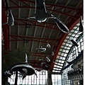 08.國立海洋生物博物館.jpg