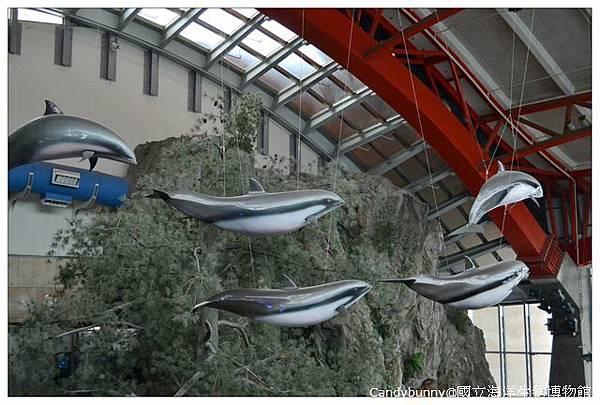 11.國立海洋生物博物館.jpg