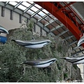 11.國立海洋生物博物館.jpg