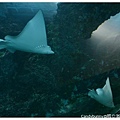 15.國立海洋生物博物館.jpg