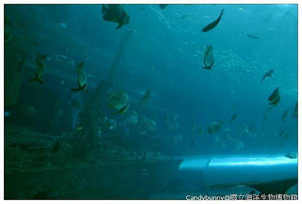 17.國立海洋生物博物館.jpg