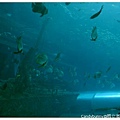 17.國立海洋生物博物館.jpg