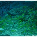20.國立海洋生物博物館.jpg