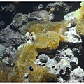 22.國立海洋生物博物館.jpg