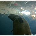 24.國立海洋生物博物館.jpg