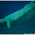 26.國立海洋生物博物館.jpg