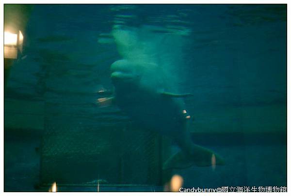 28.國立海洋生物博物館.jpg