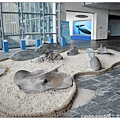 29.國立海洋生物博物館.jpg