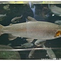 30.國立海洋生物博物館.jpg