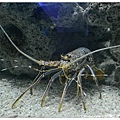 31.國立海洋生物博物館.jpg
