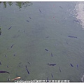 03.花蓮理想大地渡假飯店環境.jpg