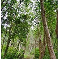 03.南澳朝陽步道.jpg