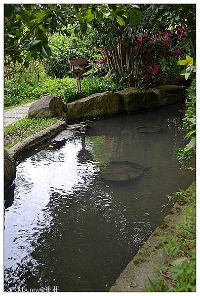 10.棗莊