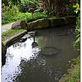 10.棗莊