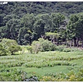 14.哭泣湖畔