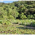 19.哭泣湖畔