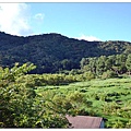 29.哭泣湖畔