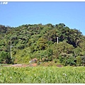 19.水上草原