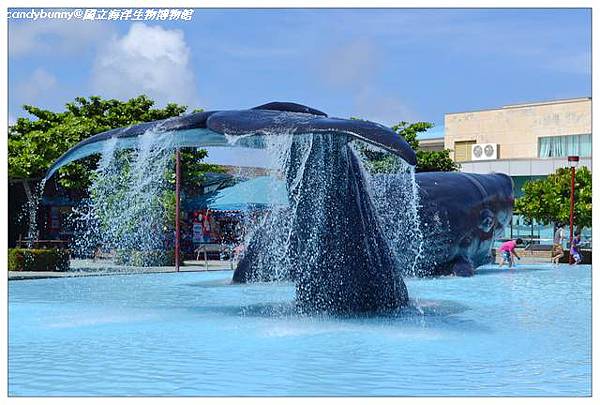 03.國立海洋生物博物館