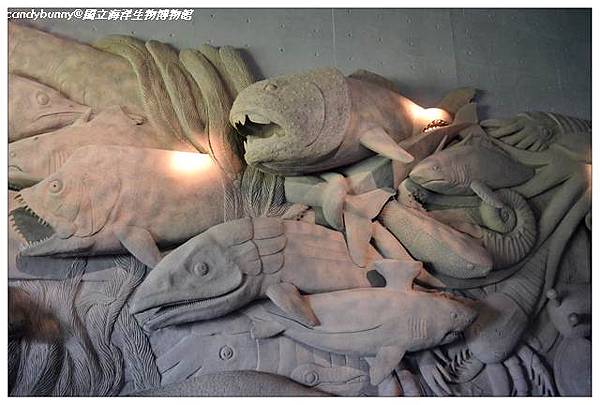 10.國立海洋生物博物館