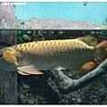 11.國立海洋生物博物館