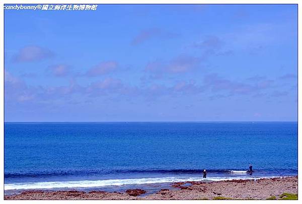 14.國立海洋生物博物館