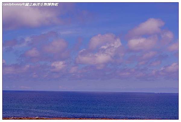 15.國立海洋生物博物館