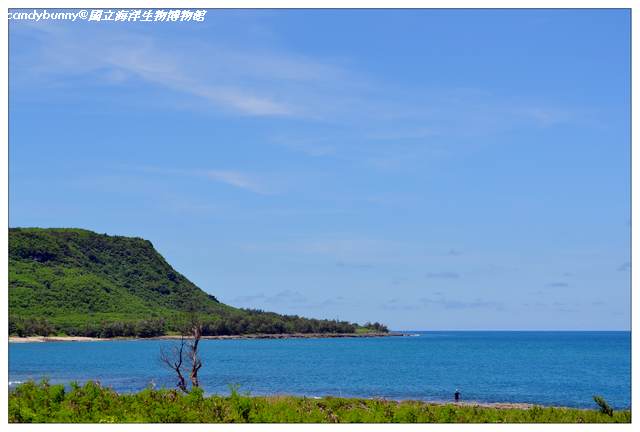 16.國立海洋生物博物館