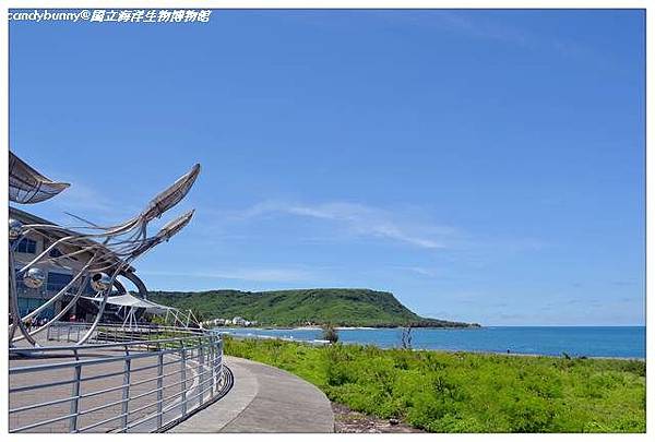 17.國立海洋生物博物館