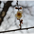 09.汝矣島公園.jpg
