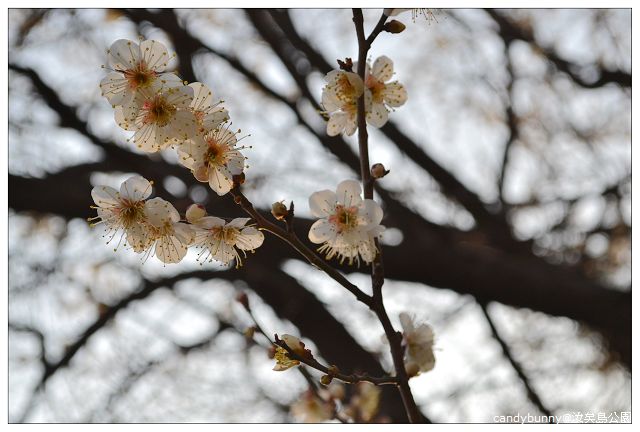 08.汝矣島公園.jpg