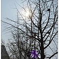 32.往光化門路途中.jpg