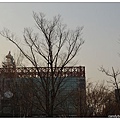 13.汝矣島公園.jpg