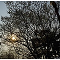 05.汝矣島公園.jpg