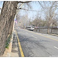 20.往光化門路途中.jpg