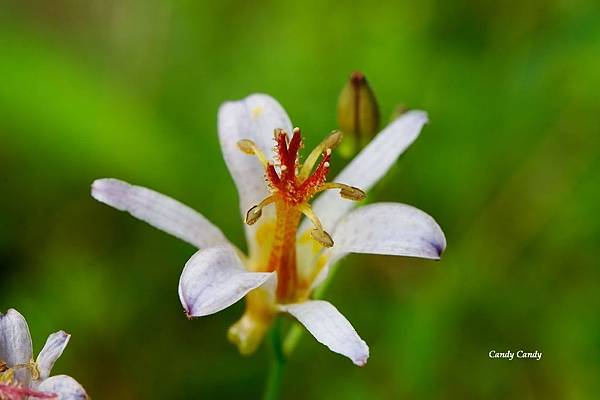 _S3A4660.jpg _S3A4660.jpg