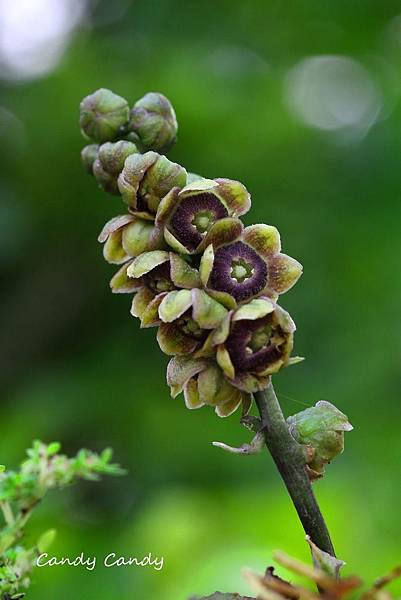 IMG_7561_副本.jpg IMG_7561_副本.jpg