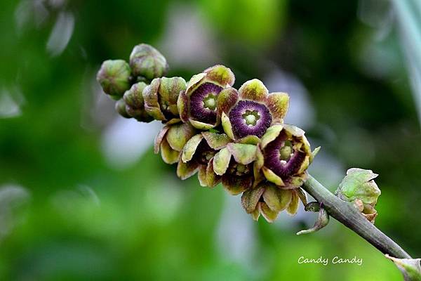 IMG_7641_副本.jpg IMG_7641_副本.jpg
