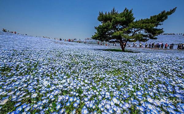 _S3A4892_副本.jpg _S3A4892_副本.jpg