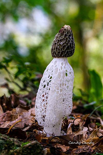 IMG_8785_副本 IMG_8785_副本