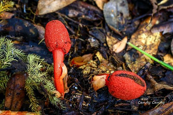 0S3A0240_副本.jpg 0S3A0240_副本.jpg