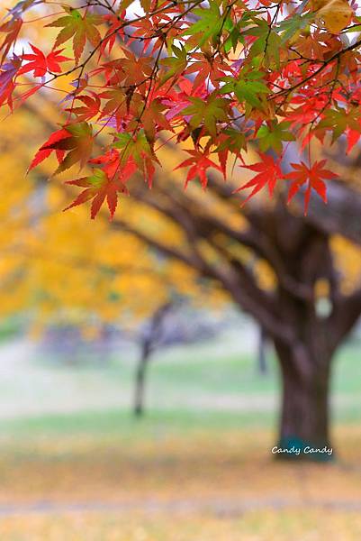 0S3A2337_副本.jpg 0S3A2337_副本.jpg