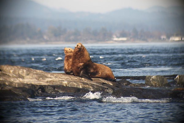 Vancouver_B_Day05_0157.JPG