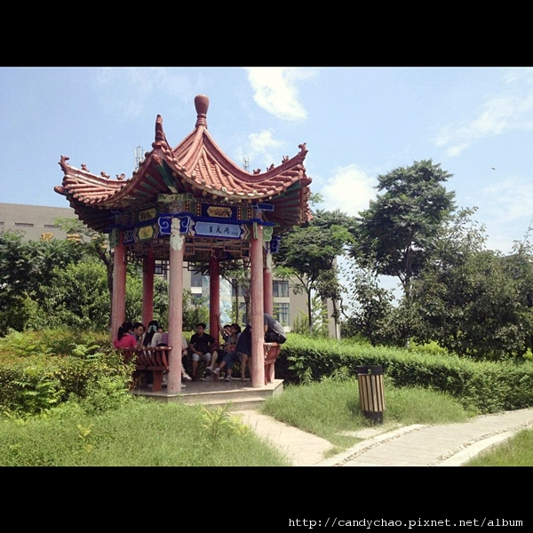 photo (2)