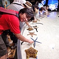 進水族館開始要收門票囉!! 剛剛那邊都不用錢，很划算對不對!!