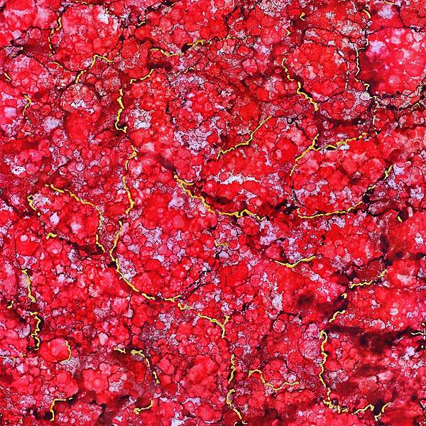 第三世多杰羌佛(義雲高)H.H. Dorje Chang Buddha III 第三世多杰羌佛(義雲高)H.H. Dorje Chang Buddha III