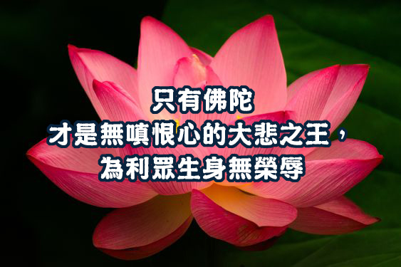 https://holyachievement.blogspot.com/ 成就聖法如來藏