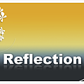 Reflection.png